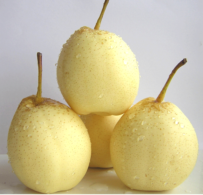 yali Pear